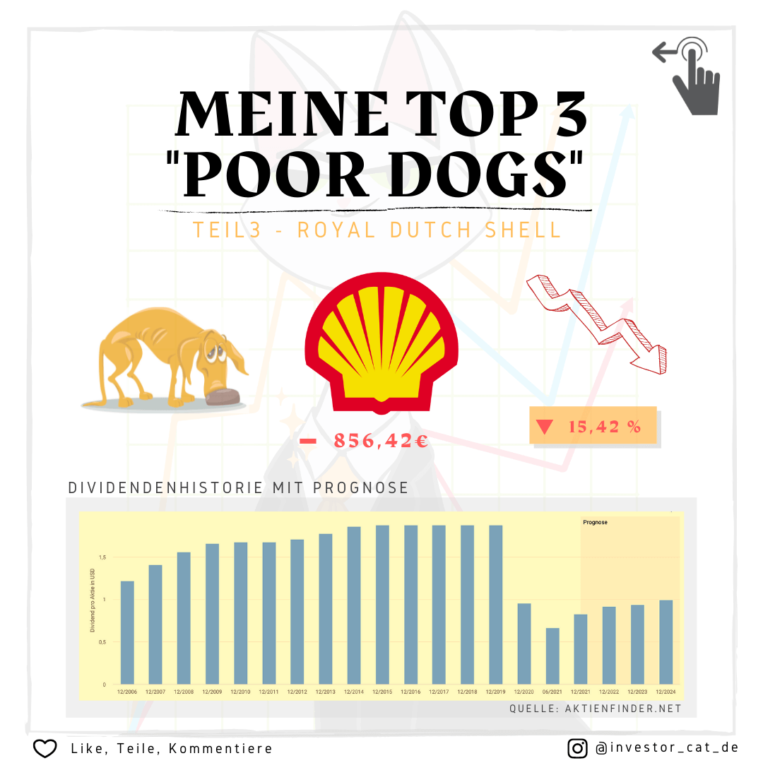 Meine Poor Dogs - Fehlinvestitionen an der Börse - Teil 3 - Royal Dutch Shell
